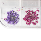 Nail Art Blumen 12 Farben