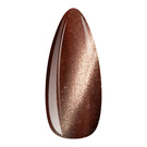 Gel Polish Cat Eye 7D Pink Jaguar 17	