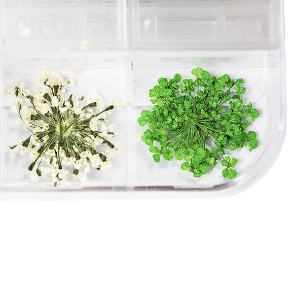 Nail Art Blumen 12 Farben