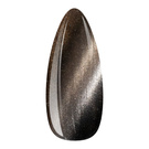Gel Polish Cat Eye 7D Metallic Purr 12
