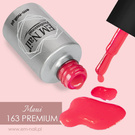 Premium Gel Polish Maui 163