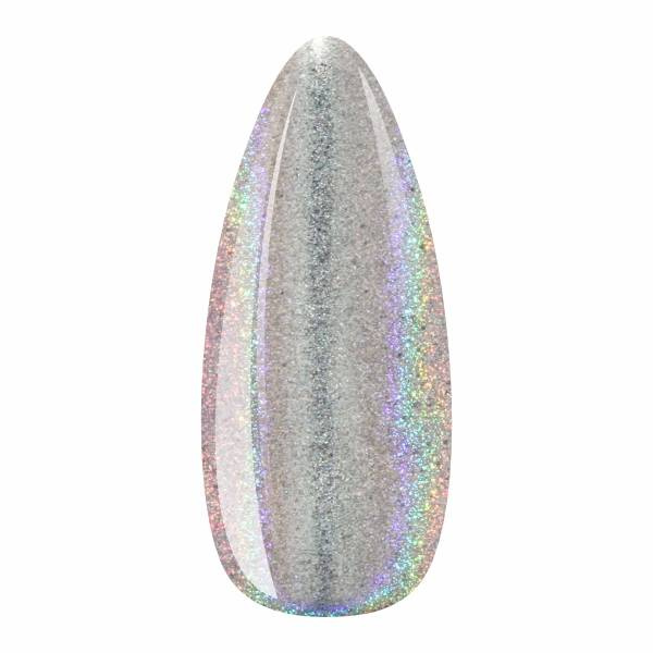 Powder Holo - Pure Holographic 100%