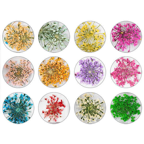 Nail Art Blumen 12 Farben