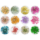 Nail Art Blumen 12 Farben