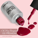 Premium Gel Polish Oh Hey Bouquet 150 