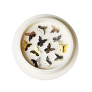 Biżuteria 3D w pojemniczku kolorowe motylki