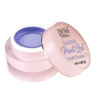 Paint Gel Glamour Violet Flowers 11