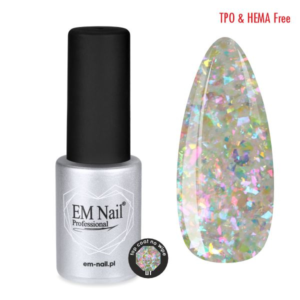 Top Coat No Wipe Lit 6ml EM Nail