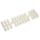 Wzornik, tipsy naturalne na holder/do ekspozytora